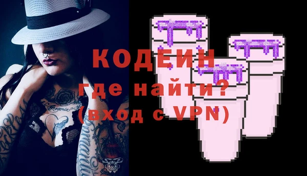 молекула духа Няндома