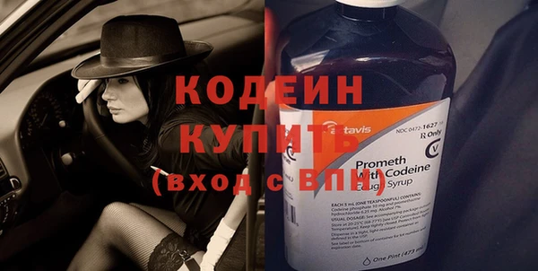 молекула духа Няндома