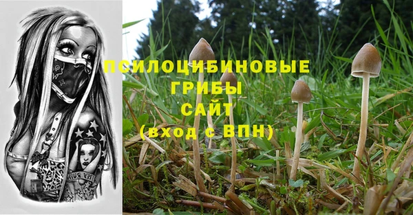 молекула духа Няндома