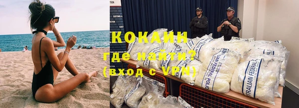 молекула духа Няндома