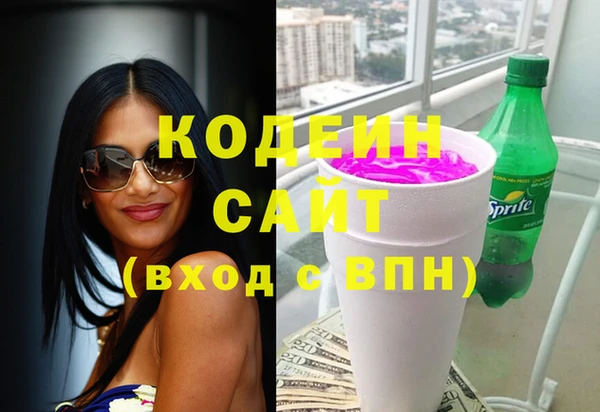 молекула духа Няндома