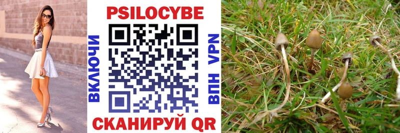 Галлюциногенные грибы Psilocybe  магазин    Берёзовский 